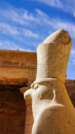 Téléchargez les photos : Close up of granite statue of Horus, the Falcon god, son of Isis and Osiris and presiding deity  in the Temple of Horus at Edfu built during the Ptolemaic era between 237 to 57 BC near Aswan,Egypt - en image libre de droit