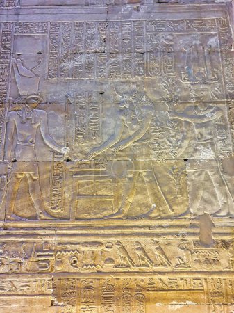 Téléchargez les photos : Relief mural de Ptolémée IV Philopator Derrière Hathor.the déesse de la vache, face et faire des offrandes à Horus dans le temple d'Horus à Edfou construit au cours de l'ère ptolémaïque entre 237 à 57 avant JC près d'Assouan, Egypte - en image libre de droit
