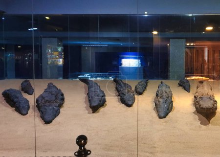 momies de crocodile conservées au musée dédié à la déesse de crocodile Sobek près du temple de Sobek et Haroeris construit au 2ème siècle avant JC par Ptolémée pharoahs à Kom Ombo, près d'Assouan, Egypte