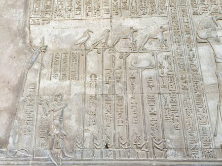 Relief mural d'animaux sacrés comme emblèmes d'un rituel religieux au Temple de Sobek et Haroeris construit au IIe siècle av. J.-C. par les pharaons de Ptolémée à Kom Ombo, près d'Assouan, Égypte