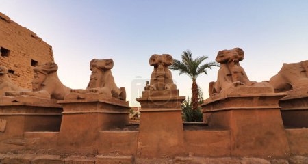 Primer plano de las Esfinges Ram Encabezadas que bordean el camino de entrada al complejo del templo Karnak dedicado a Amón-Ra en Luxor, Egipto
