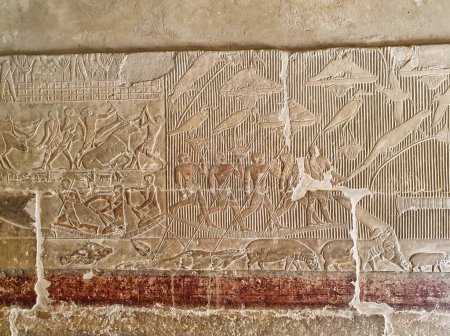 Art mural complexe montrant des scènes de chasse et d'élevage de bétail avec hippopotames et crocodiles à l'intérieur du mastaba Tombeau de Merurka, Grand Vizir à Pharoah Teti, 6ème dynastie à Saqqara, Le Caire, Egypte