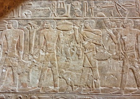 Beau mur d'art représentant les serviteurs de Merurka apportant des offrandes telles que du pain et des oies au maître dans le mastaba Tombeau de Merurka, Grand Vizir à Pharoah Teti, 6e dynastie à Saqqara, Le Caire, Egypte