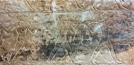 Detaillierte Wandreliefs mit Marktszenen, die zeigen, wie Merurkas Männer Erzeugnisse in das Mastaba-Grab von Merurka, Großwesir von Pharao Teti, 6. Dynastie in Sakqqara, Kairo, Ägypten bringen.