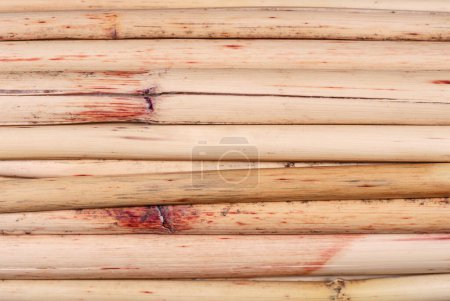 Background of dry sorghum stems. Backgrounds and texture