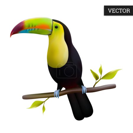 Illustration for Keel-billed Toucan isolated on a white background. Realistic (Ramphastos sulfuratus) national bird of Belize. Vector illustration 3D. Rainbow-billed toucan on branch. Wild bird icon. Design element. - Royalty Free Image