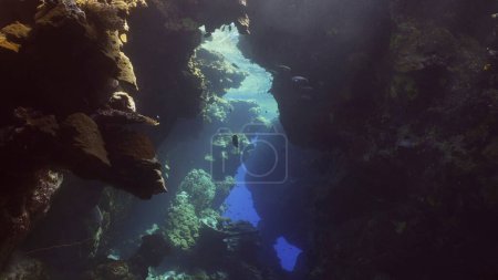 Téléchargez les photos : Le soleil pénètre dans la grotte de corail sous-marine et l'éclaire. Des poissons tropicaux nagent à l'intérieur de grottes coralliennes sous les rayons du soleil pénétrant de la surface, Mer Rouge, Egypte - en image libre de droit