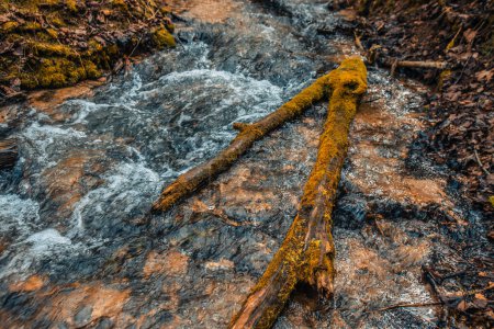 Foto de Una cascada de dolomita de piedra con una fuerte corriente de agua que fluye hacia abajo. Hay un bosque y árboles que caen cerca. - Imagen libre de derechos