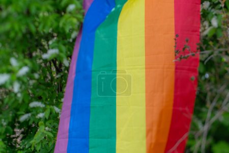 Foto de Una bandera está colgada en el arbusto de Eva. El arco iris unificador. Símbolo gay. Festival de verano. Enfoque selectivo suave. - Imagen libre de derechos