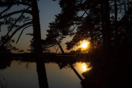 Foto de El sol del atardecer se refleja en el agua del lago. Dos soles en el lago, rosas doradas. Buenas noches.. - Imagen libre de derechos