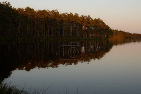 View of the lake with the reflection of the sun in the trees on the shore. The trees are reflected in the lake. Selective soft focus.
