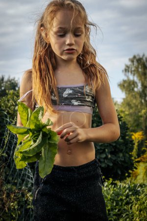 Photo for In the garden near the house, the child is picking lettuce, sorrel. Soft selective focus. - Royalty Free Image