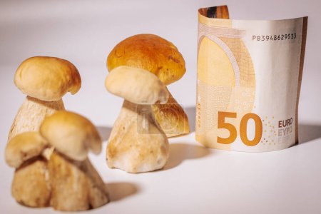 Téléchargez les photos : Champignons sauvages, chanterelles et champignons à chapeaux bruns avec un billet de 50 euros sur fond blanc. Les champignons sont chers, peu poussent dans la forêt. - en image libre de droit