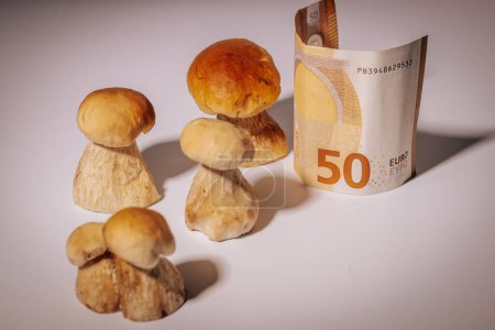 Téléchargez les photos : Champignons sauvages, chanterelles et champignons à chapeaux bruns avec un billet de 50 euros sur fond blanc. Les champignons sont chers, peu poussent dans la forêt. - en image libre de droit