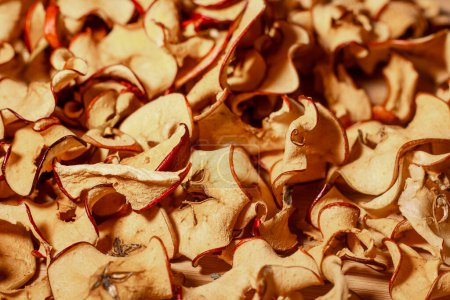 Photo for Apple slices dried in a fruit dryer retain all the vitamins. Soft selective focus. - Royalty Free Image