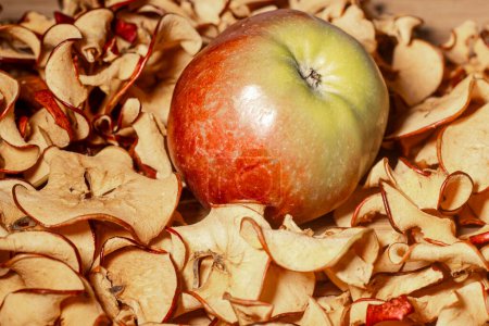 Foto de Las rodajas de manzana secadas en un secador de frutas conservan todas las vitaminas. Manzana fresca entera. Enfoque selectivo suave. - Imagen libre de derechos