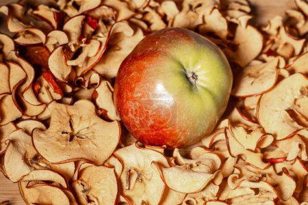 Téléchargez les photos : Les tranches de pomme séchées dans un sèche-fruits conservent toutes les vitamines. Pomme fraîche entière. Concentration sélective douce. - en image libre de droit