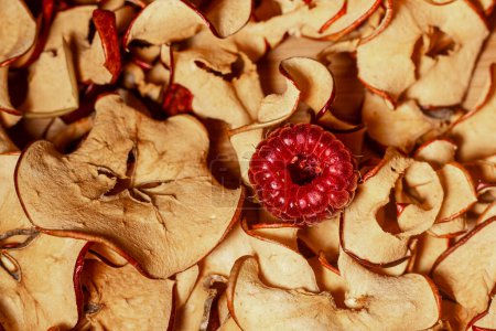 Téléchargez les photos : Les tranches de pomme séchées dans un sèche-fruits conservent toutes les vitamines. Framboises fraîches sur une tranche de pomme séchée. Concentration sélective douce. - en image libre de droit