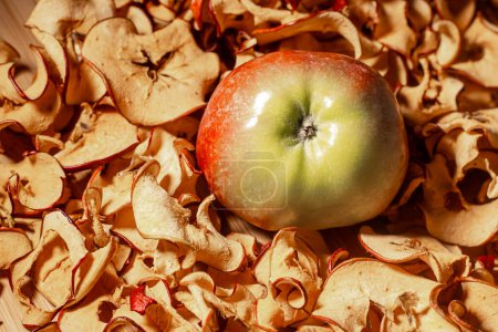 Foto de Las rodajas de manzana secadas en un secador de frutas conservan todas las vitaminas. Manzana fresca entera. Enfoque selectivo suave. - Imagen libre de derechos