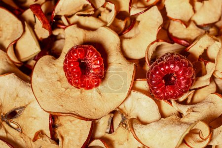 Téléchargez les photos : Les tranches de pomme séchées dans un sèche-fruits conservent toutes les vitamines. Framboises fraîches sur une tranche de pomme séchée. Concentration sélective douce. - en image libre de droit