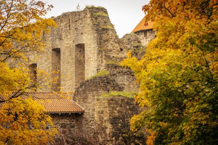 Téléchargez les photos : Le château médiéval de Cesis lors d'un bel automne. Concentration sélective douce. - en image libre de droit