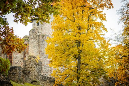 Téléchargez les photos : Le château médiéval de Csis lors d'un bel automne. Concentration sélective douce - en image libre de droit