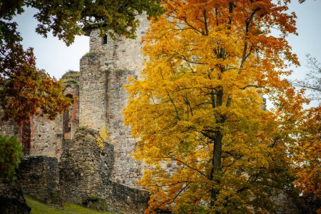 Téléchargez les photos : Le château médiéval de Csis lors d'un bel automne. Concentration sélective douce. - en image libre de droit