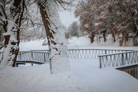 Téléchargez les photos : Pont, vue sur le lac. Un arbre couvert de neige par une journée d'hiver gelée. Un arbre à neige dans un pays des merveilles hivernal. - en image libre de droit