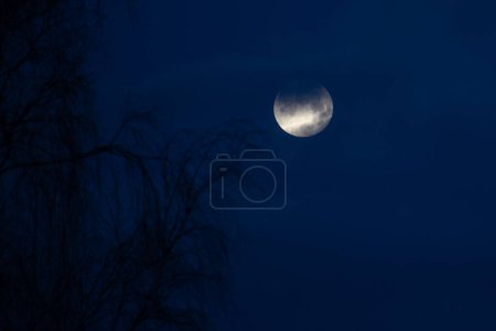 Foto de La luna en el cielo de la tarde en un cielo oscuro. Enfoque selectivo suave. Grano creado artificialmente para la imagen - Imagen libre de derechos