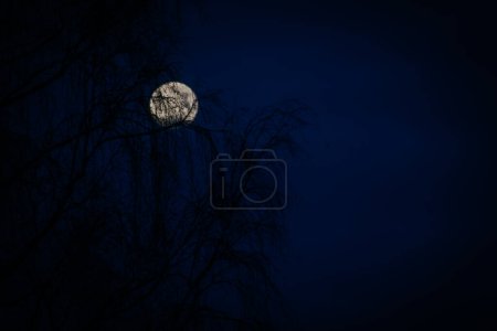 Foto de La luna en el cielo de la tarde en un cielo oscuro. Enfoque selectivo suave. Grano creado artificialmente para la imagen - Imagen libre de derechos