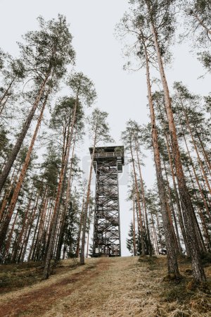 Torre de vigilancia Cirgali y sendero natural de bellota. Torre de vigilancia cerca de la frontera estonia en el bosque.