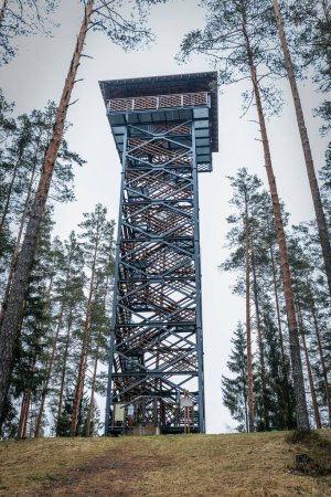 Cirgali lookout tower and acorn nature trail. Lookout tower near the Estonian border in the forest.