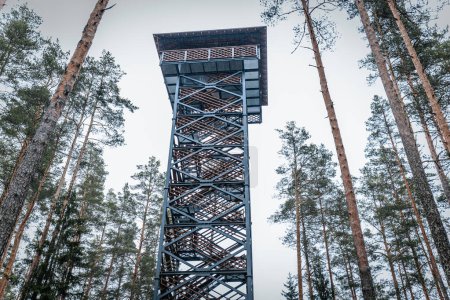 Cirgali lookout tower and acorn nature trail. Lookout tower near the Estonian border in the forest.