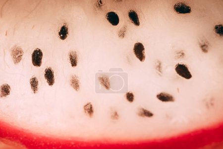 Pitaya fruit - dragon fruit close-up with visible seeds.