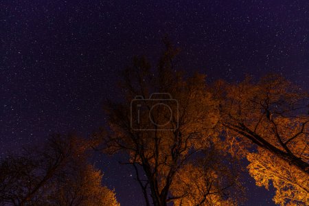 Téléchargez les photos : Le ciel avec des étoiles et la lueur des aurores boréales. Concentration sélective douce. Grains créés artificiellement pour l'image. - en image libre de droit