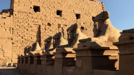Téléchargez les photos : Sphinx à tête de bélier et petite figure de Néfertari au temple Karnak, Égypte. - en image libre de droit