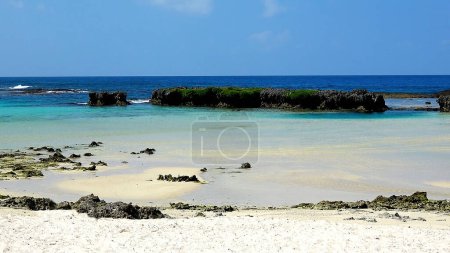 Photo for Beautiful landscape and crystal clear water on Eton Beach in Vanuatu. - Royalty Free Image