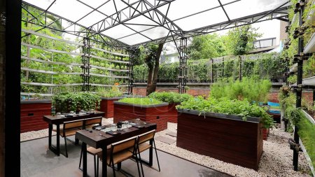 Organic farm to table experience at the restaurant in Bangkok, Thailand.
