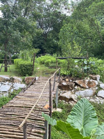 Organic farm in the backyard garden, Thailand.