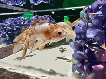 Realistische Illustration japanischer Goldfische im Fischbecken. 