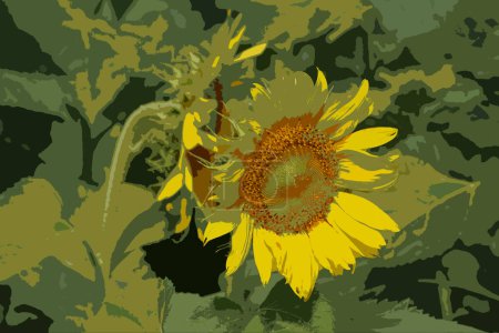 Realistische Darstellung der Sonnenblumenblüte im Sommer.