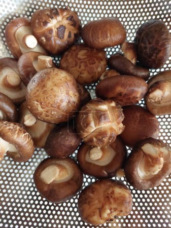Frische Shitake-Pilze im Korb aus Edelstahl.