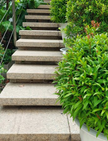 Asian Tropical Ornamental Plants and Granite Tile Steps in the Garden. 