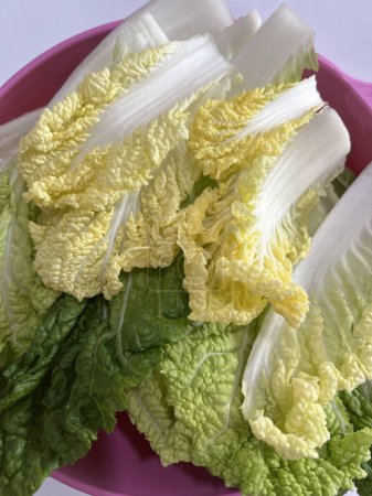 Fresh Chinese Cabbage Ready For Homemade Soup.