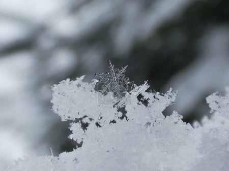 Téléchargez les photos : Flocon de neige minuscule, fond bokeh, hiver - en image libre de droit