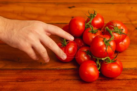Téléchargez les photos : Pile de tomates sur table en bois, cueillette à la main des tomates en tas, - en image libre de droit