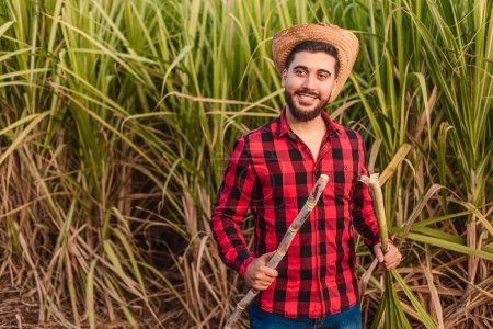 Foto de Campesino joven sonriendo y analizando la plantación de caña de azúcar. agrónomo, ingeniero agrícola. Industria del alcohol. - Imagen libre de derechos