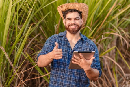 Photo for Brazilian caucasian man, farmer, rural worker, agricultural engineer, holding tablet and with thumb up, positive. Agriculture and technology. - Royalty Free Image