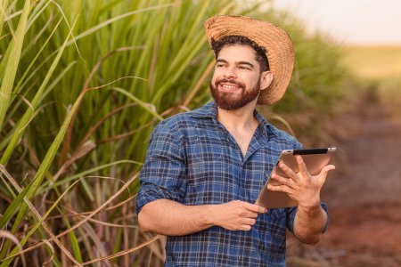 Photo for Brazilian caucasian man, farmer, rural worker, agricultural engineer, holding tablet and looking at the sky. Agriculture and technology. - Royalty Free Image