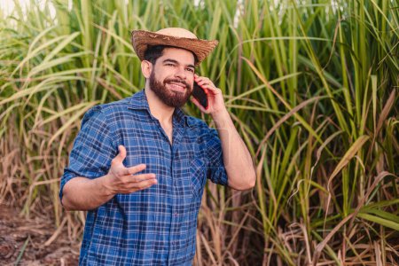 Photo for Young agricultural worker, agronomist, wearing straw hat. talking on cell phone, audio call. with sugarcane plantation in the background. - Royalty Free Image